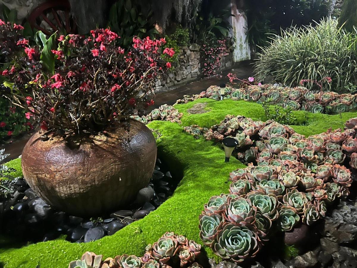 Home Mark Casa Boutique بايبا المظهر الخارجي الصورة